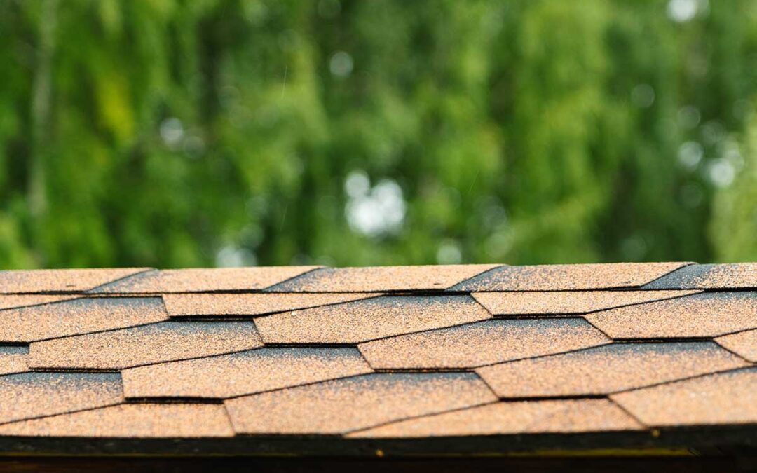 Choosing the Right Fiberglass Shingles for Your Parksville Home